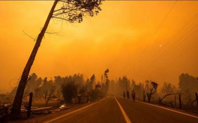 El modelo forestal está quemando Wallmapu