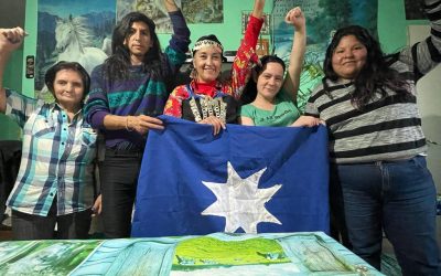 Una madre Mapuche presa y el Encuentro Plurinacional: Furilofche 2023