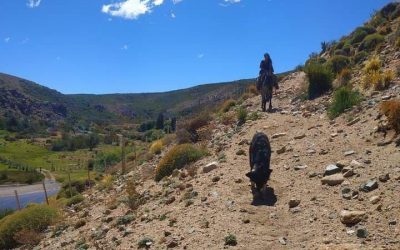 Desde el lof Cayunao territorio Mapuche reivindicado queremos dar a conocer la situación actual #Puelmapu